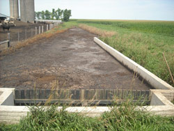 Dairy & Feedlot Design